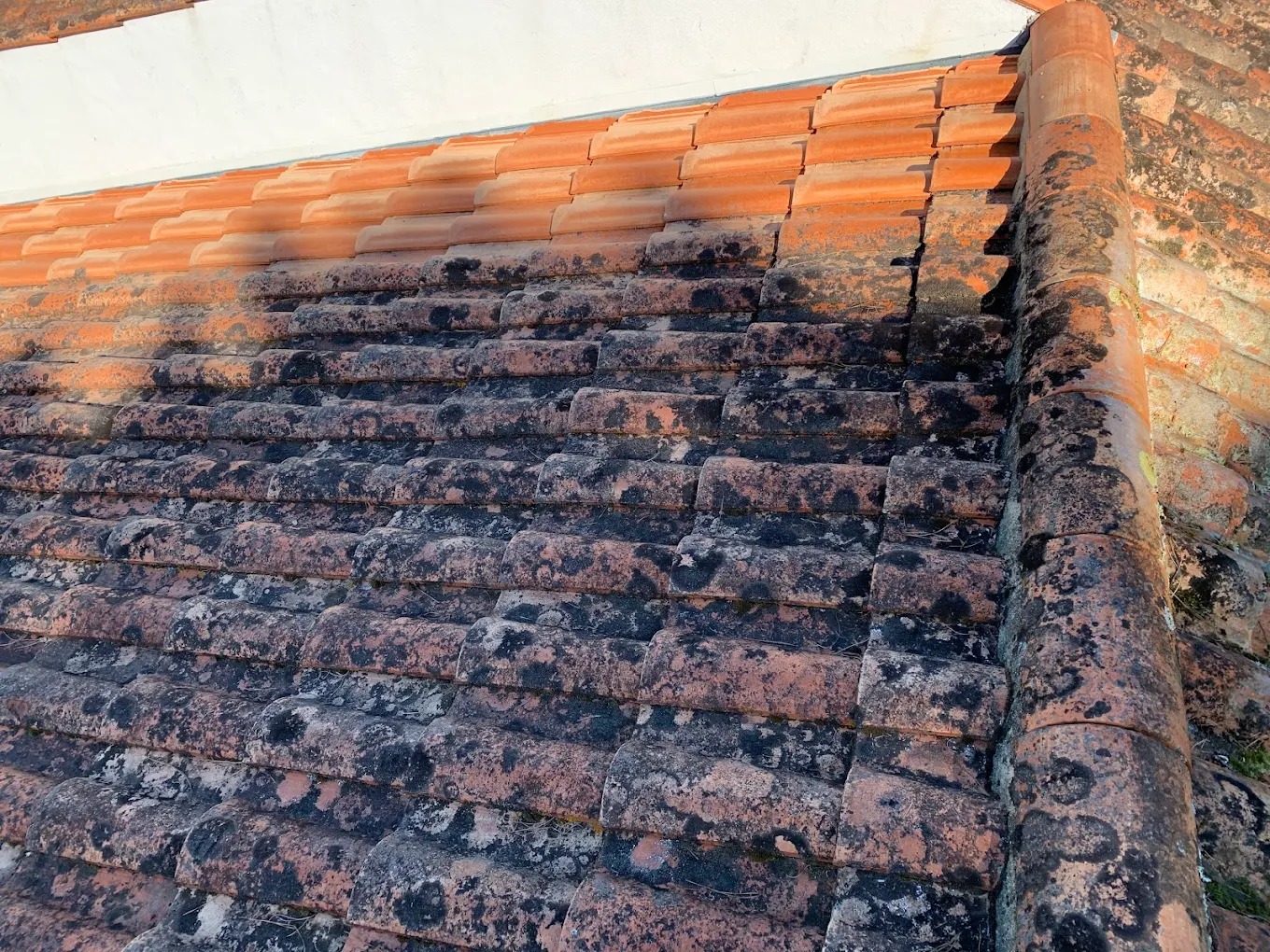 Façade en bord de mer : pourquoi la peinture s’abîme plus vite ?